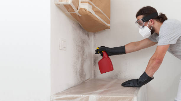 Professional Crawl Space Mold Removal technician working in Bloxom, VA