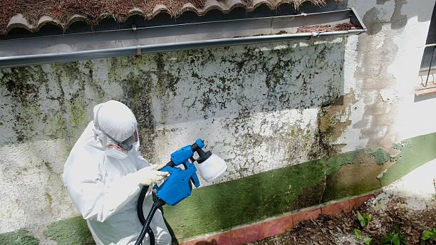 Trusted Attic Mold Removal service in Bloxom, VA - Cheap Mold Removal